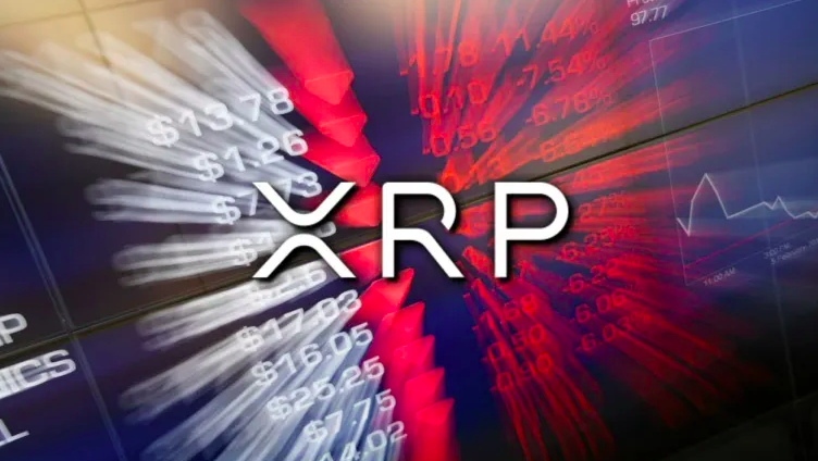 Why These Major Crypto Wallets Acquired Over 100 Million XRP In Last 24 Hours